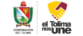 Gobernacion del tolima Clientes Transforsalud IPS Incluyente Ibague, Colombia